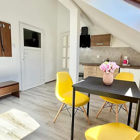 Apartment Plavecka Prague