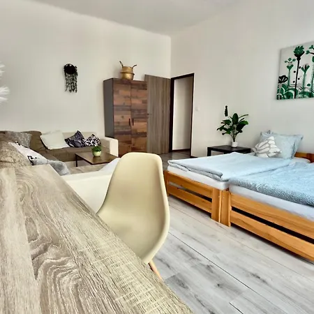 Apartment Plavecka *