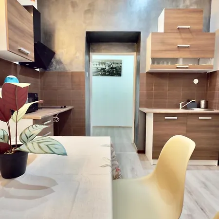 Apartment Plavecka Prague