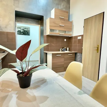 Plavecka Apartment Prague